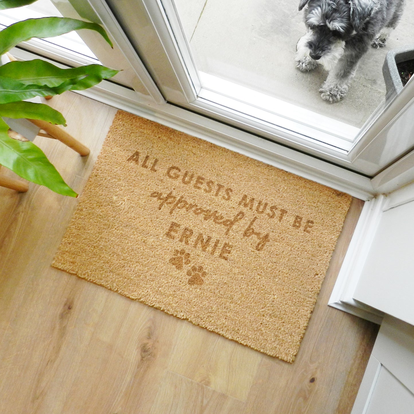 Personalised Approved By The Pet Rectangle Indoor Doormat