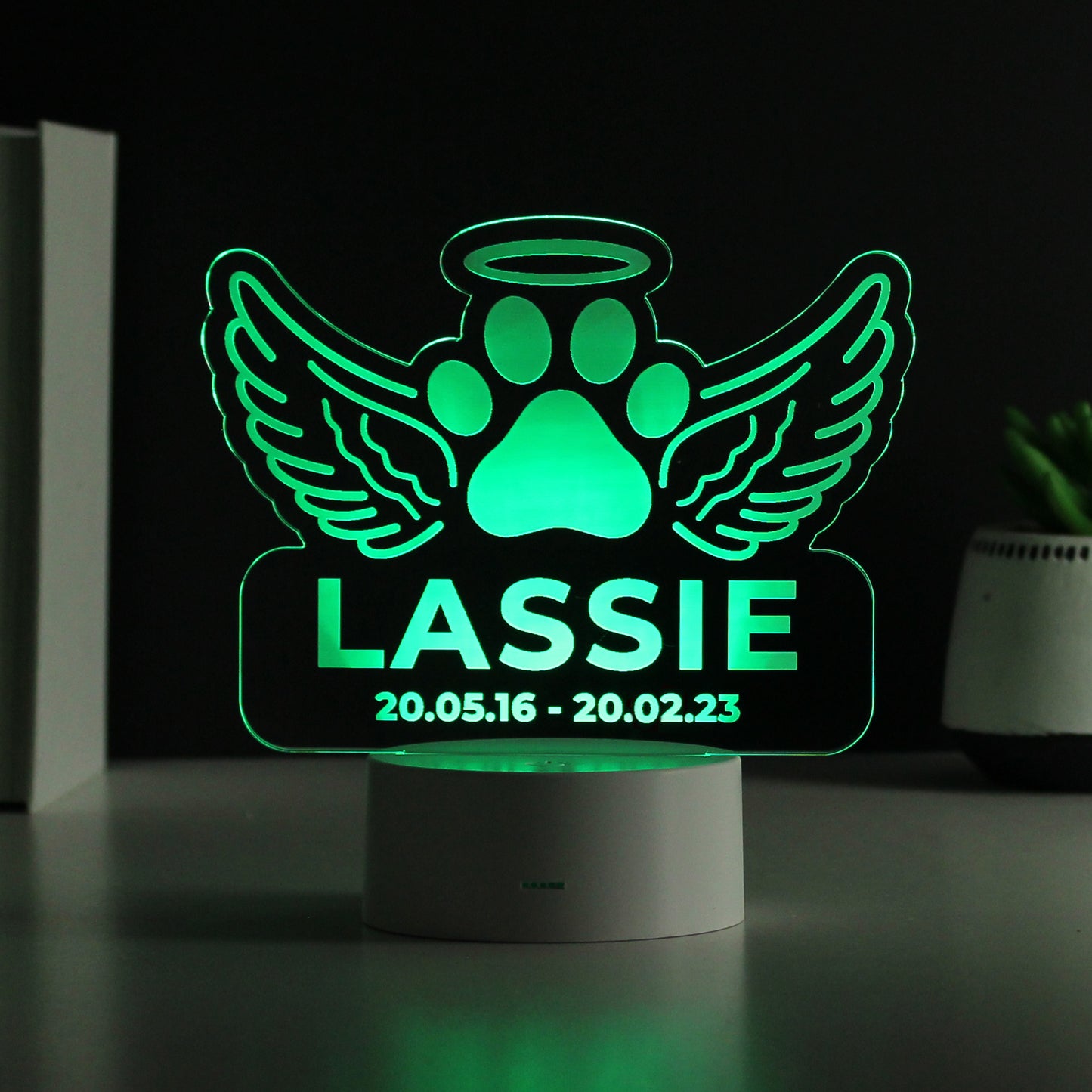 Personalised Pet Memorial Colour Changing LED Light