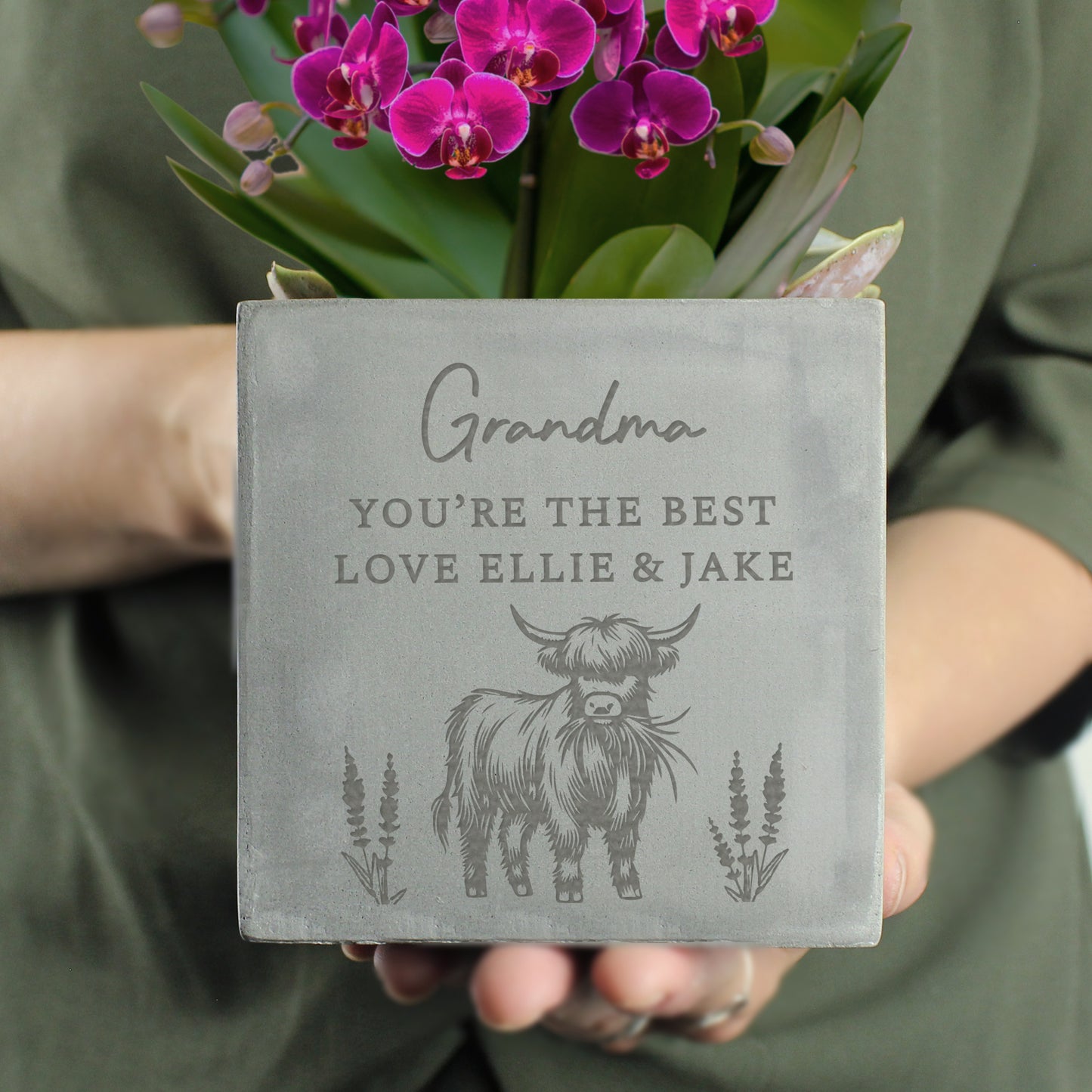 Personalised Highland Cow Concrete Plant Pot