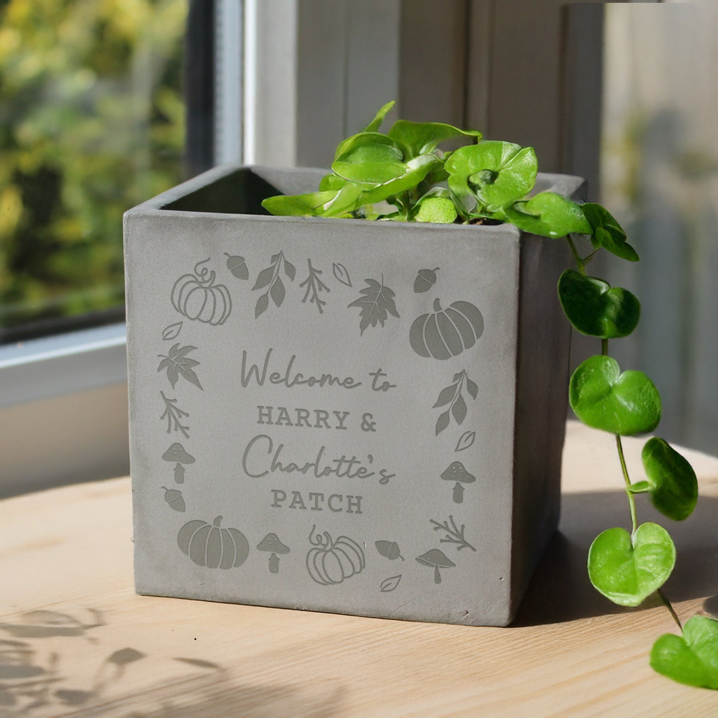 Personalised Pumpkin Concrete Plant Pot