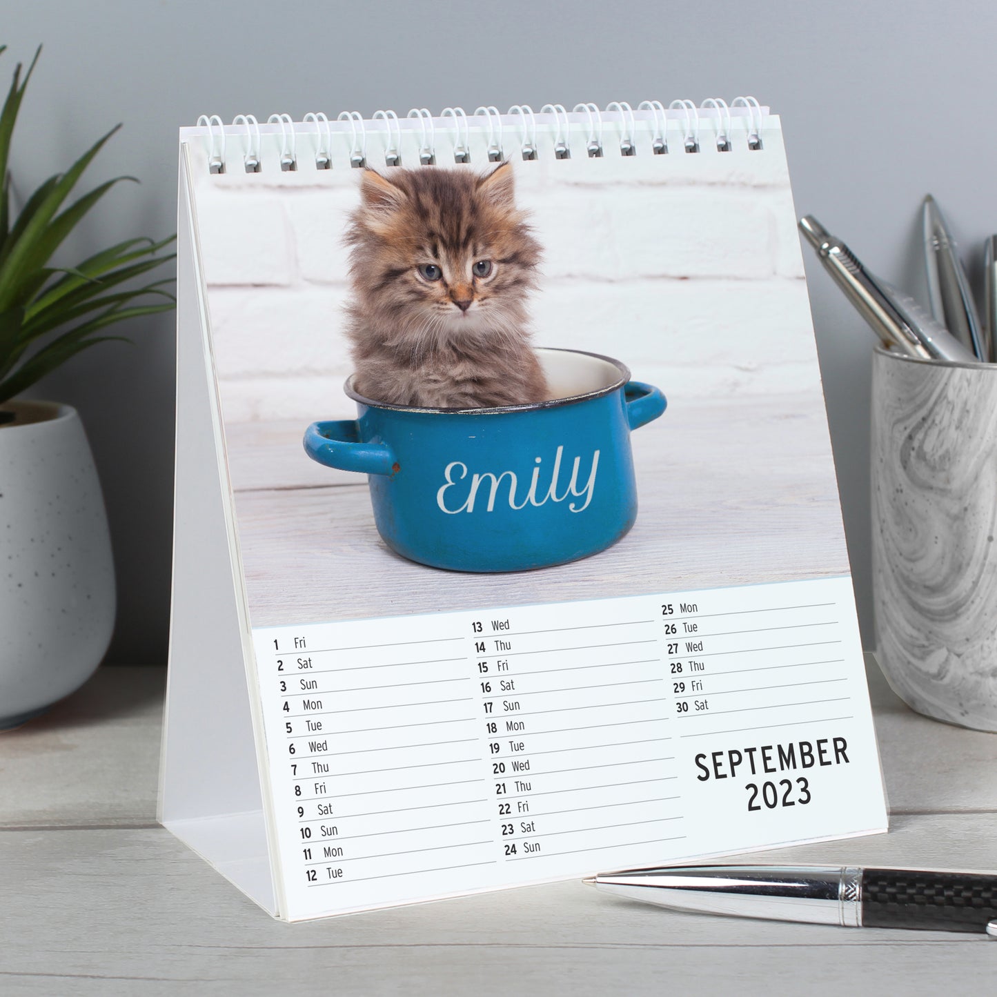 Personalised Cats and Kittens Desk Calendar