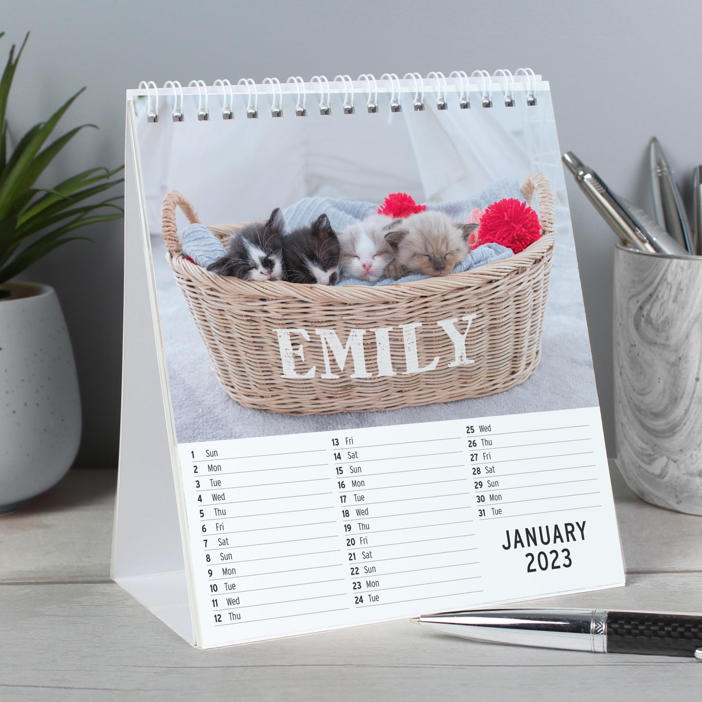 Personalised Cats and Kittens Desk Calendar