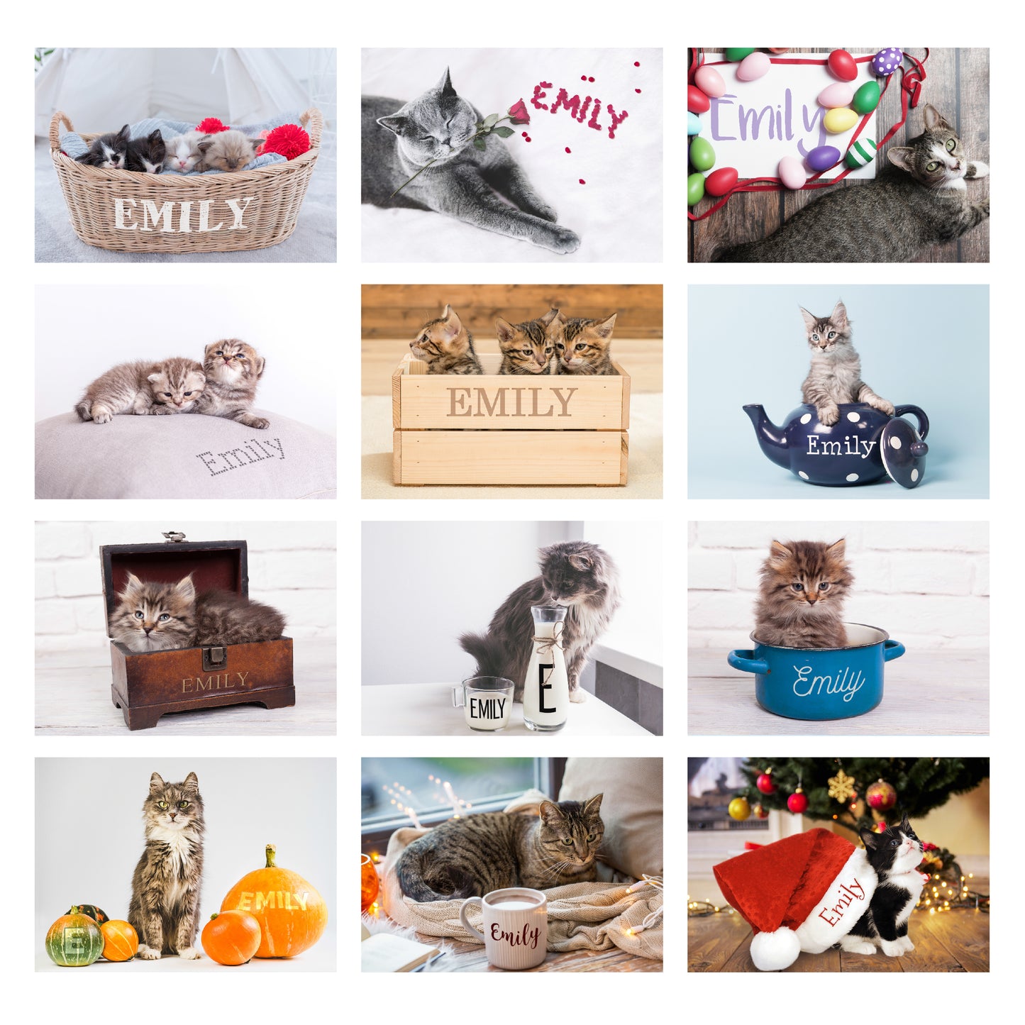 Personalised Cats and Kittens Desk Calendar