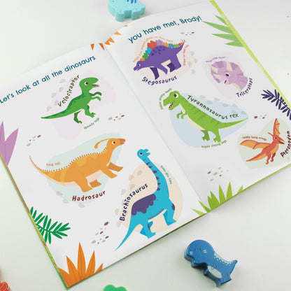 Personalised Dinosaur Adventure Story Book