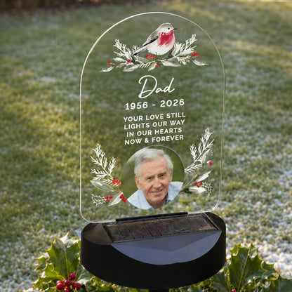 Personalised Robin Photo Upload Outdoor Solar LED Light